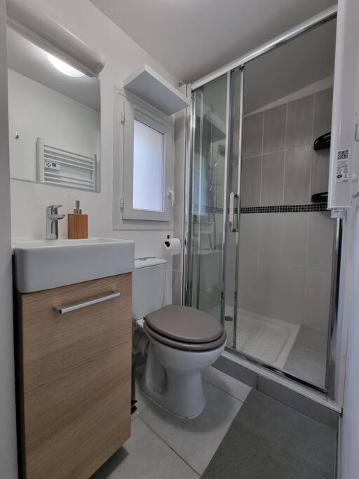 סיינט-פייר-דה-קורפס Agreable Logement / Netflix מראה חיצוני תמונה
